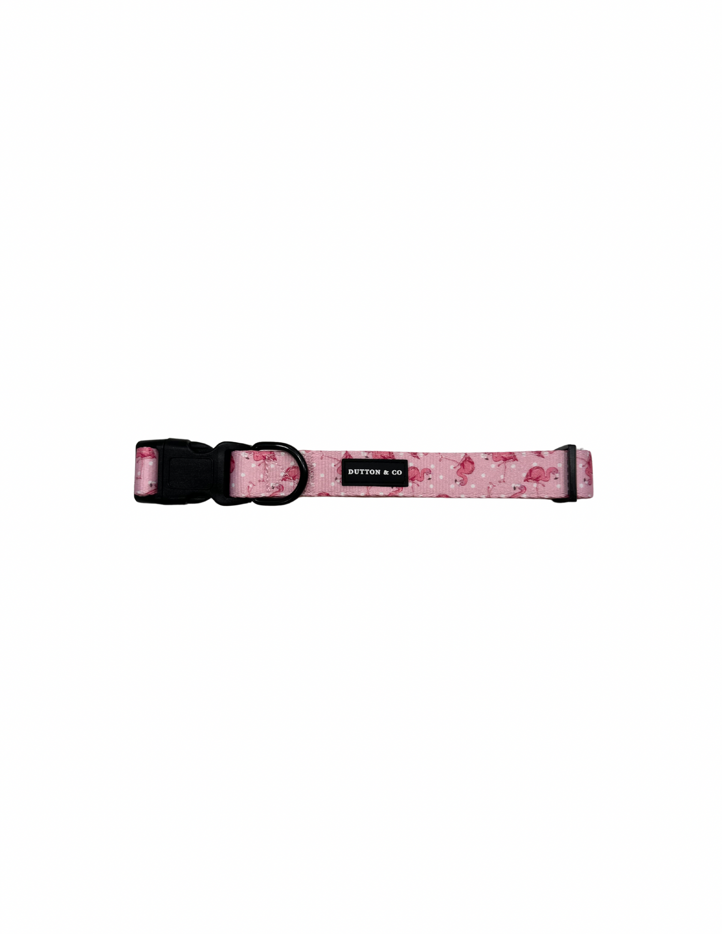 Pink Flamingo Dog Collar